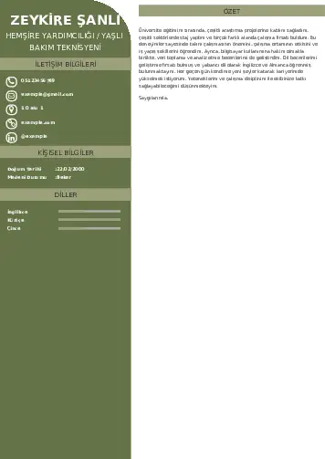 Hasta ve Yaşlı Bakım Elemanı Cv Örnekleri cv indir